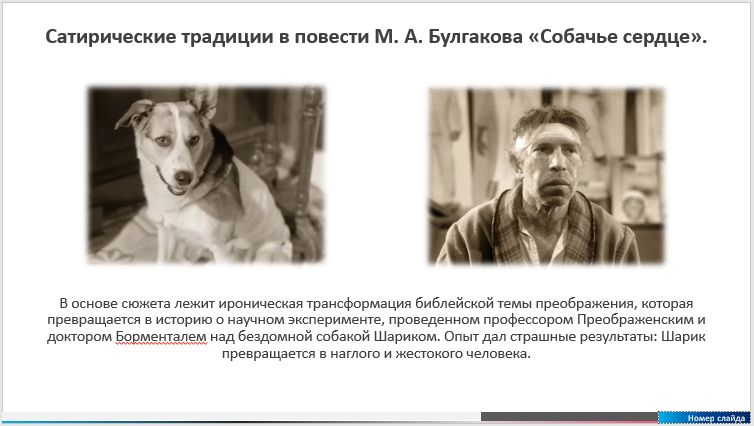 Satire in the story of M. A. Bulgakov “Dog’s Heart” part 5